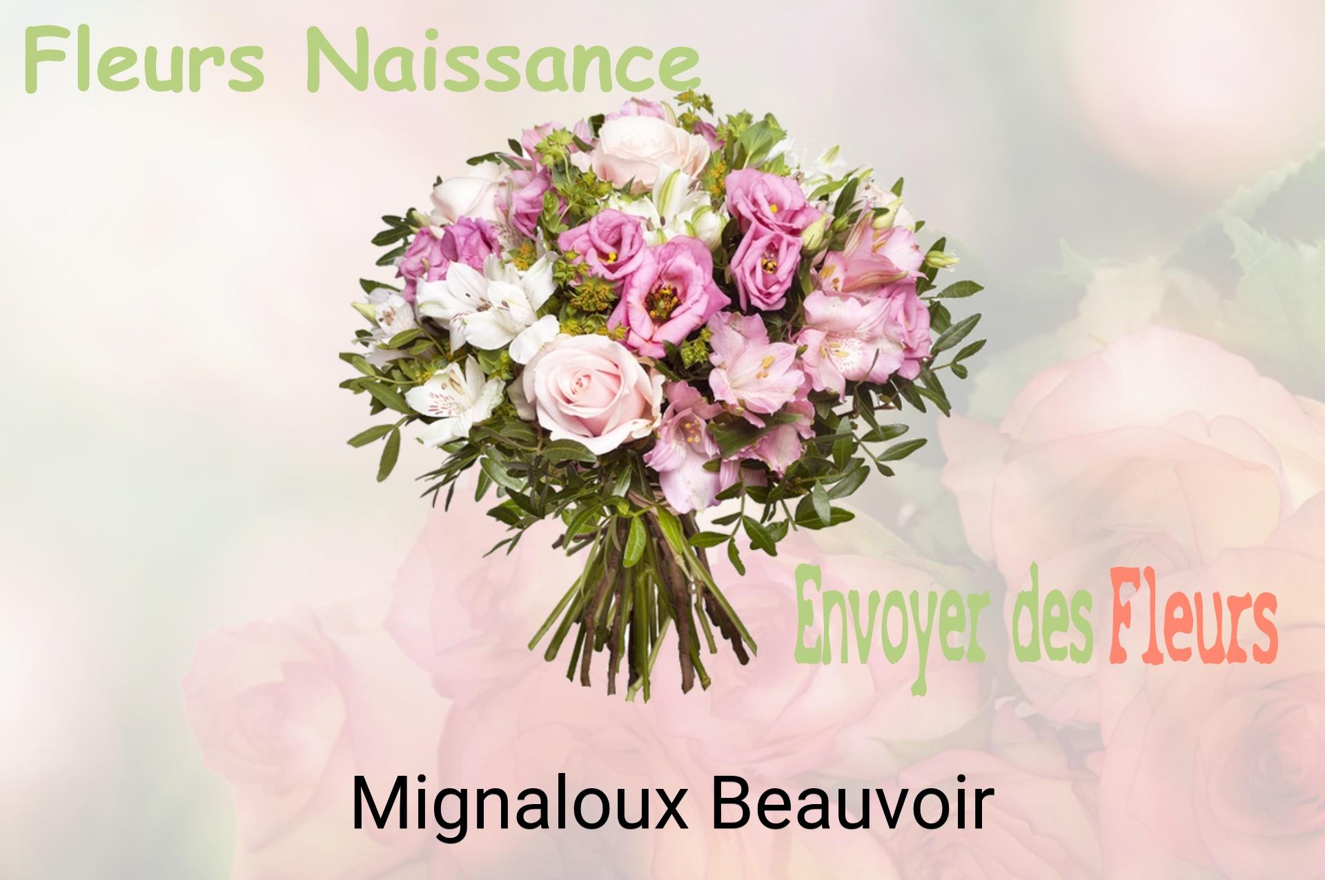 Bouquet de fleurs de naissance livré à Mignaloux-Beauvoir